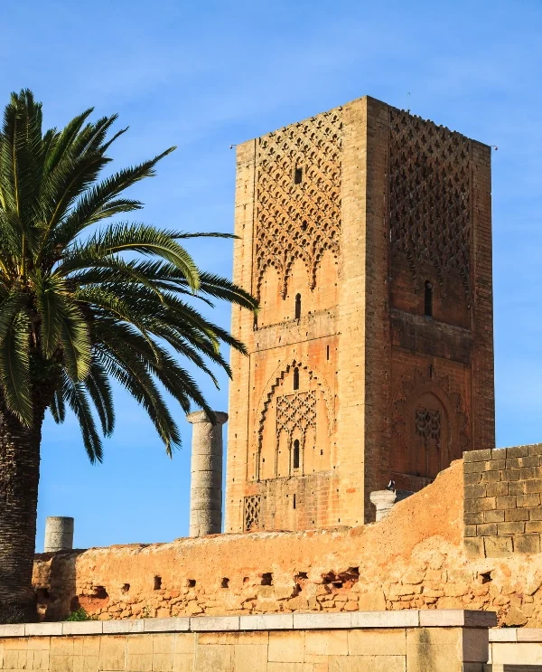 Morocco Tours (20)