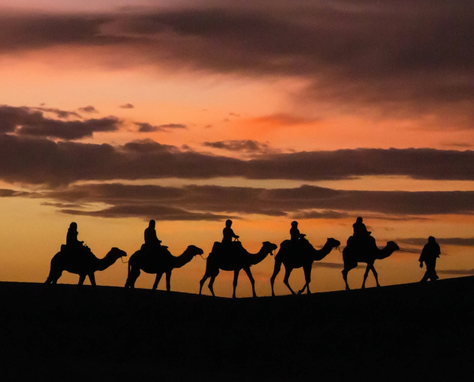 Moroccan Tours