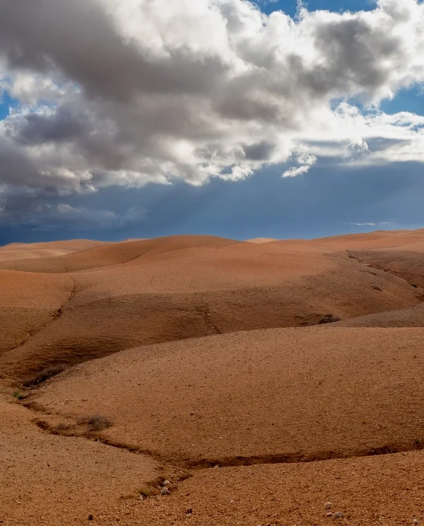 Morocco Tours (3)