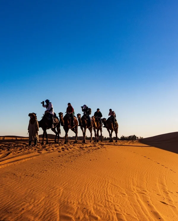 Morocco Tours (37)